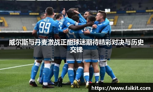 威尔斯与丹麦激战正酣球迷期待精彩对决与历史交锋